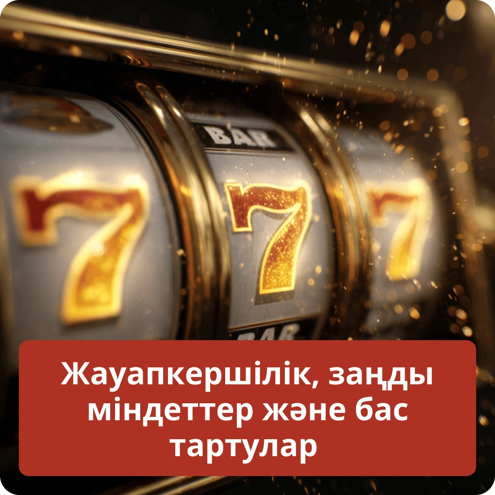 Жауапкершілік, заңды міндеттер және бас тартулар